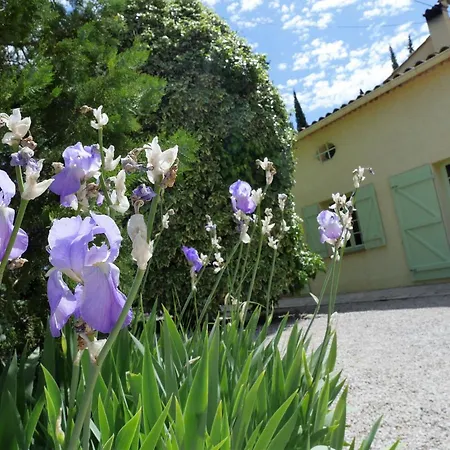 Bed & Breakfast Des Oliviers
